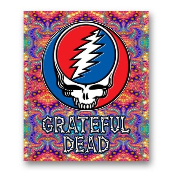 New Fractal Grateful Dead Steal Your Face Plush Fleece Throw Gift Blanket Thick - Picture 1 of 2